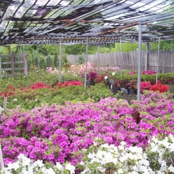 Hartke Nursery