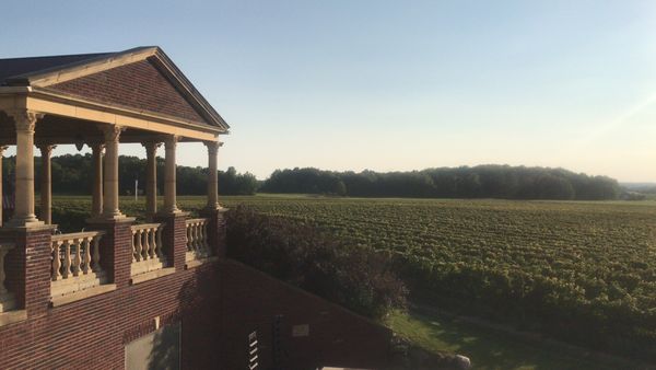 South River Vineyard by null