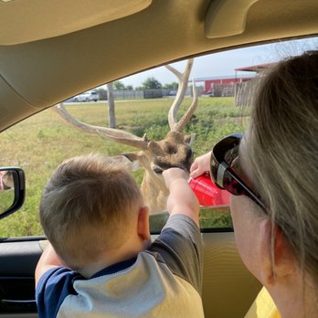 North Texas Safari Park - Driving safari. - Zoos Near Me - Bonham, Texas