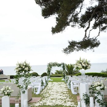 800 Rose Big - Florists Near Me - Newport Beach, California 800 Rose Big - Florists Near Me - Newport Beach, California