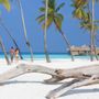 Photo of Marchela Travel