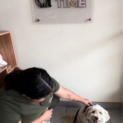 Urban Pet - 8.24.26 Jedi's 9:30am Spaw Time