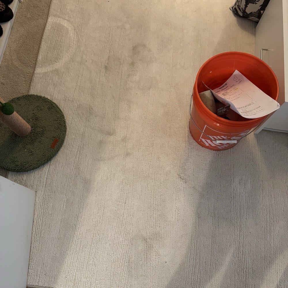 Closets by Design - San Diego - Employee walked on white carpet with no booties after being told several times to put them on - Interior Design Near Me - Vista, California Closets by Design - San Diego - Employee walked on white carpet with no booties after being told several times to put them on - Interior Design Near Me - Vista, California