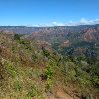 Iliau Nature Loop - Hiking Near Me - Waimea, Hawaii Iliau Nature Loop - Hiking Near Me - Waimea, Hawaii