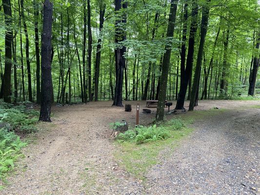 Wells State Park by null