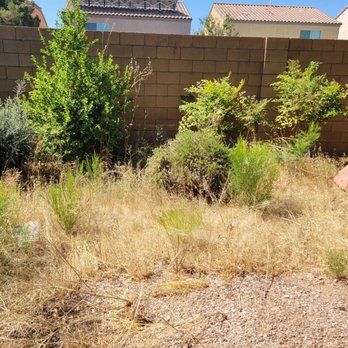 Las Vegas Yard Services - BEFORE- Backyard - Lawn Services Near Me Las Vegas Yard Services - BEFORE- Backyard - Lawn Services Near Me