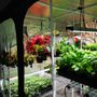Photo of Quick Grow Supercenter