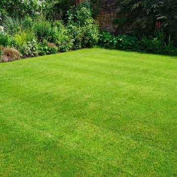Desert Coral Landscaping  -  green lawn in a garden - Landscaping Near Me
