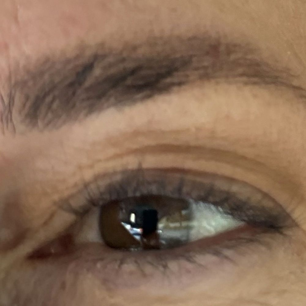 Brow Bitch - Permanent Makeup Near Me - Seattle, Washington Brow Bitch - Permanent Makeup Near Me - Seattle, Washington
