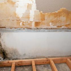 California Certified - mold remediation on wall