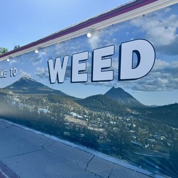 The Weed Store - 05.26.24 Welcome to Weed - Souvenir Shops Near Me - Weed, California