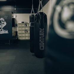 Gallos Gym