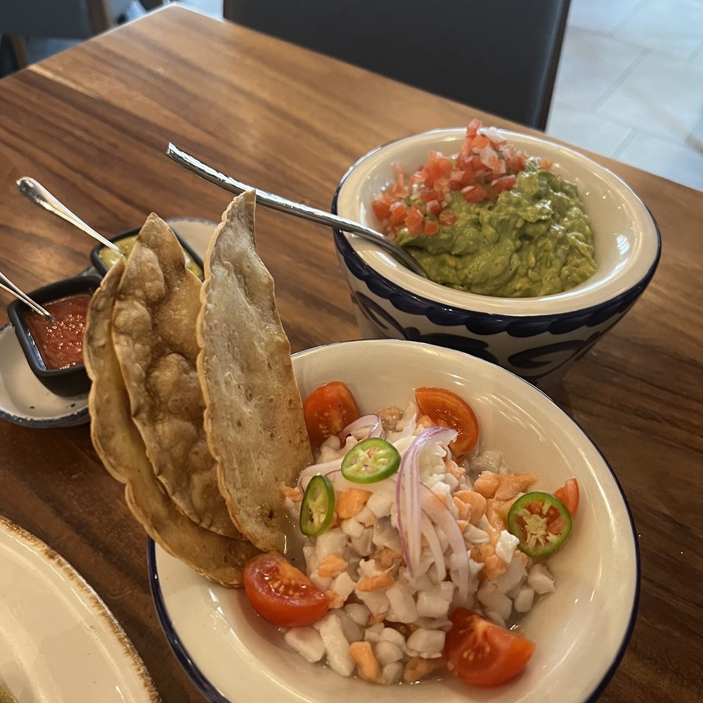 Don Artemio - El Porvenir ceviche and guacamole served in beautiful molcajetes - Mexican Near Me - Fort Worth, Texas