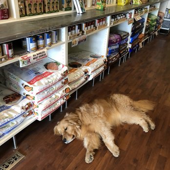 Animal Outfitters - You're likely to be greeted and loved by the shop retriever! - Pet Groomers Near Me - Buffalo, New York