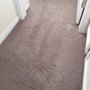 Photo of Aladdin Carpet Cleaning @ Restoration