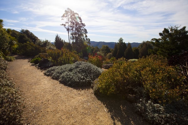 Blue Mountains Botanic Garden Mount Tomah by null