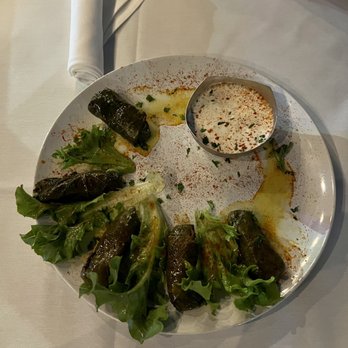 Red Onion Organic - Stuffed Grape Leaves. Yummy! - Mediterranean Near Me - Destin, Florida Red Onion Organic - Stuffed Grape Leaves. Yummy! - Mediterranean Near Me - Destin, Florida