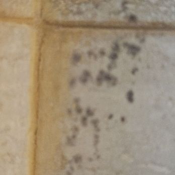 Il Principe Hotel - More black mold and disgusting tiles - Hotels Near Me - Catania, Connecticut