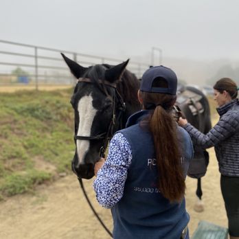Vino Vaqueros Horseback Riding - A quick demo! - Horseback Riding Near Me - Los Olivos, California Vino Vaqueros Horseback Riding - A quick demo! - Horseback Riding Near Me - Los Olivos, California