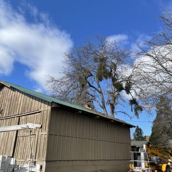 Zero Gravity Tree Service - Tree Services Near Me Zero Gravity Tree Service - Tree Services Near Me