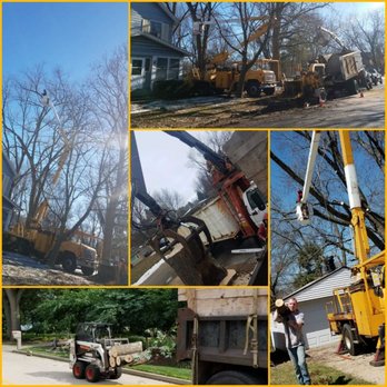 Smetters Tree Service - Call The Pros at 8159143557 - Tree Services Near Me - Rockford, Illinois Smetters Tree Service - Call The Pros at 8159143557 - Tree Services Near Me - Rockford, Illinois