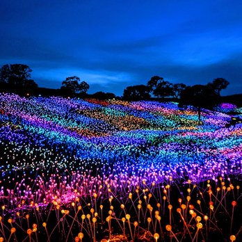 Sensorio - Illuminated field - Art Galleries Near Me - Paso Robles, California Sensorio - Illuminated field - Art Galleries Near Me - Paso Robles, California