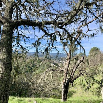 Stadium Park - Parks Near Me - Atascadero, California Stadium Park - Parks Near Me - Atascadero, California