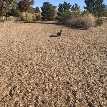 North Domingo Baca Dog Park - Dog Parks Near Me - Albuquerque, New Mexico