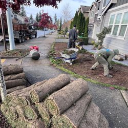 NW Property Maintenance - Sod installation