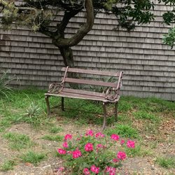 MUNI - 6 Hayes-Parnassus - Cute bench