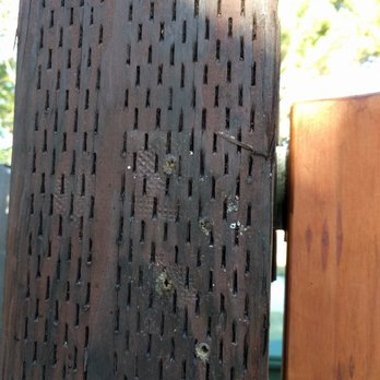 SMJ Fencing - Leftover holes from hanging the door opening outwards instead of inwards - Fences & Gates Near Me SMJ Fencing - Leftover holes from hanging the door opening outwards instead of inwards - Fences & Gates Near Me