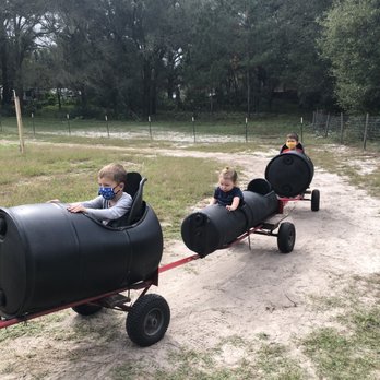 Santas Christmas Trees Forest - Barrel Tractor ride for the kids! - Christmas Trees Near Me - Eustis, Florida Santas Christmas Trees Forest - Barrel Tractor ride for the kids! - Christmas Trees Near Me - Eustis, Florida