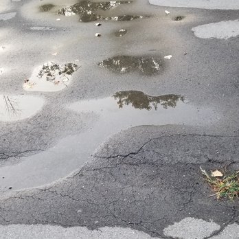 Detroit Asphalt - Weeds - General Contractors Near Me - Romulus, Michigan Detroit Asphalt - Weeds - General Contractors Near Me - Romulus, Michigan