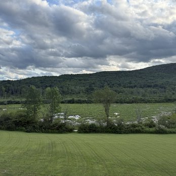 Wetlands Brewery - View of the wetlands from the patio - Breweries Near Me - Van Etten, New York Wetlands Brewery - View of the wetlands from the patio - Breweries Near Me - Van Etten, New York