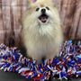 Photo of Muddy Paws Pet Pawlor
