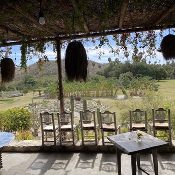 Tamarindos - A view from the dining area - Mexican Near Me - San José del Cabo, BCS