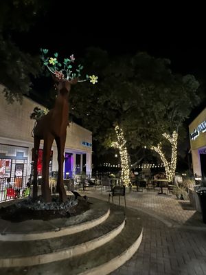 The Arboretum by null