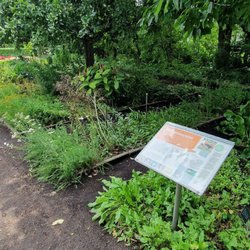 Schulgarten Lübeck - Impressionen