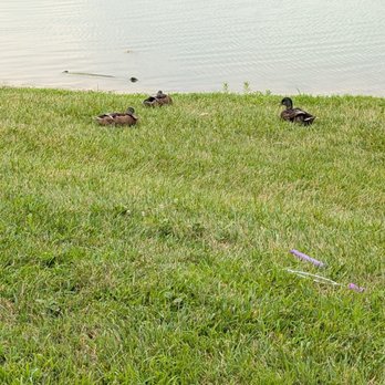 Cottell Park - Parks Near Me - Mason, Ohio