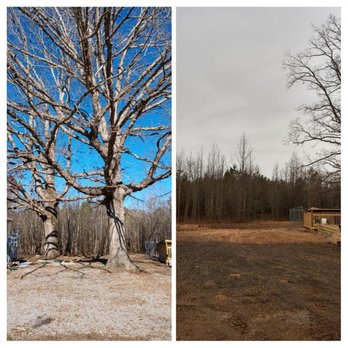 T & B Landscaping & Tree Service - Before and after tree removal Stump Grinding - Tree Services Near Me - Cumberland, Virginia T & B Landscaping & Tree Service - Before and after tree removal Stump Grinding - Tree Services Near Me - Cumberland, Virginia