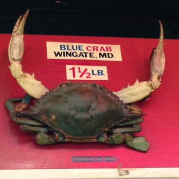 Faidley's Seafood - Isn't that something?!? - Seafood Markets Near Me - Baltimore, Maryland Faidley's Seafood - Isn't that something?!? - Seafood Markets Near Me - Baltimore, Maryland