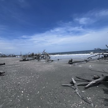 Botany Bay Plantation - Driftwood beach - Parks Near Me - Edisto Island, South Carolina