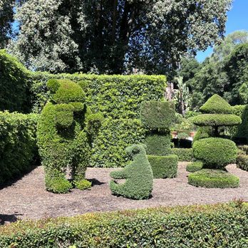 Lotusland - One of the Topiary gardens - Botanical Gardens Near Me - Santa Barbara, California Lotusland - One of the Topiary gardens - Botanical Gardens Near Me - Santa Barbara, California