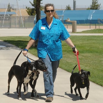 A-Z Critter Care - Penny Vigil, owner and pet sitter - Pet Sitting Near Me - Palmdale, California A-Z Critter Care - Penny Vigil, owner and pet sitter - Pet Sitting Near Me - Palmdale, California