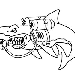 Von Touye Diving - Von Touye Diving And Leak Detection company logo