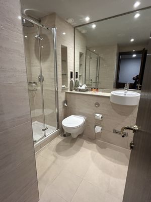 The Savoy Hotel Limerick by null