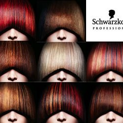 The Hair Gallery Salon & Day Spa - ALL of our stylists are CERTIFIED COLOR EXPERTS with Schwarzkopf. Call or book on line today!