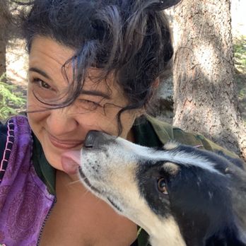 Mountain Pet Rescue - Animal Shelters Near Me Mountain Pet Rescue - Animal Shelters Near Me