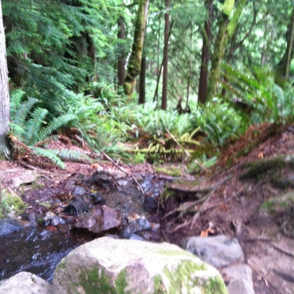 Mount Si - Parks Near Me