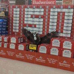 Winn-Dixie